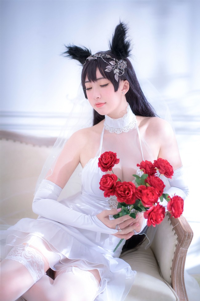 爱宕犬 婚纱Ver.