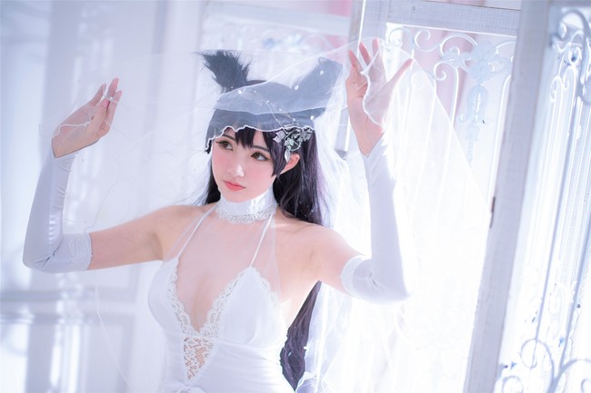 爱宕犬 婚纱Ver.