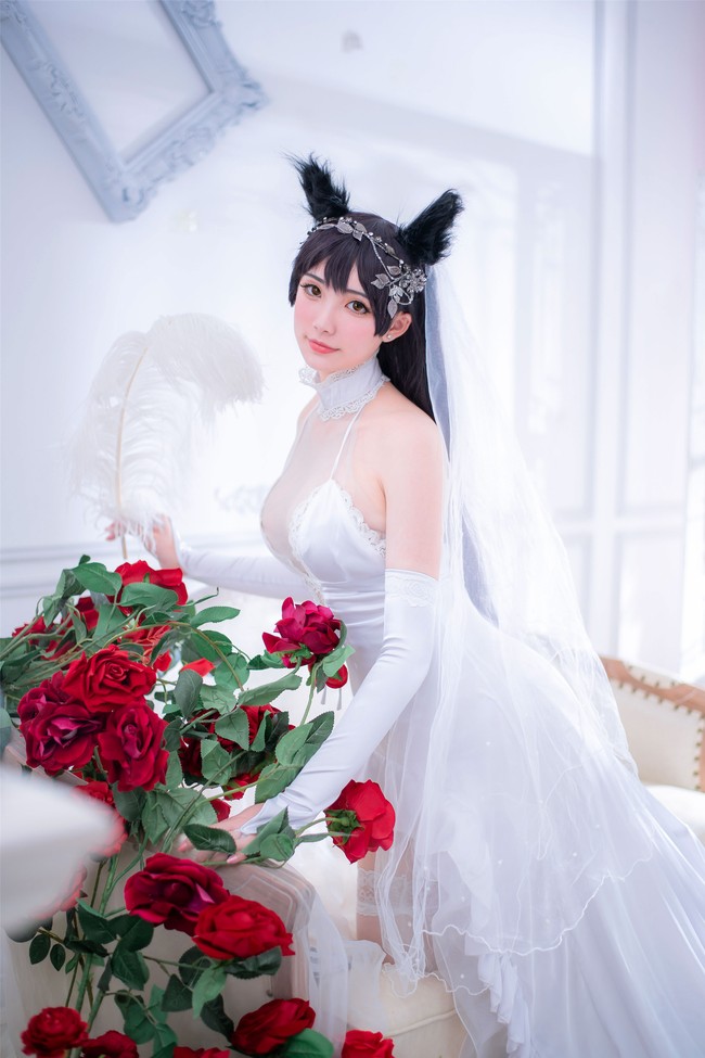 爱宕犬 婚纱Ver.