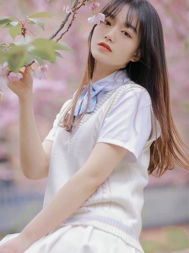 这样的樱花系列你喜欢吗