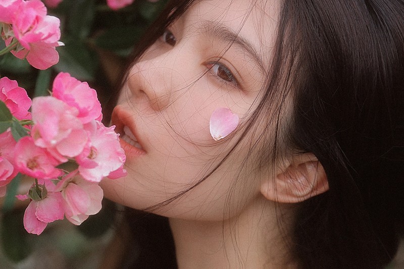 睡梦蔷薇