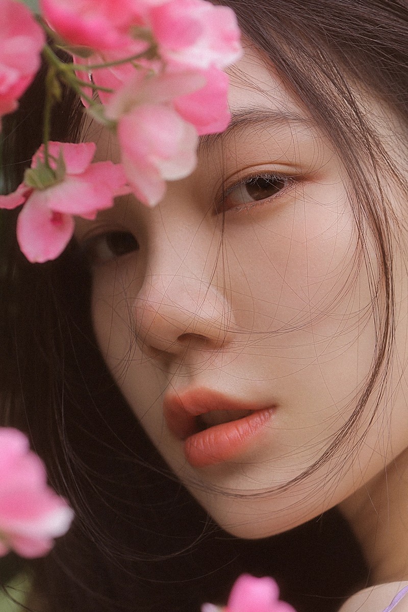 睡梦蔷薇