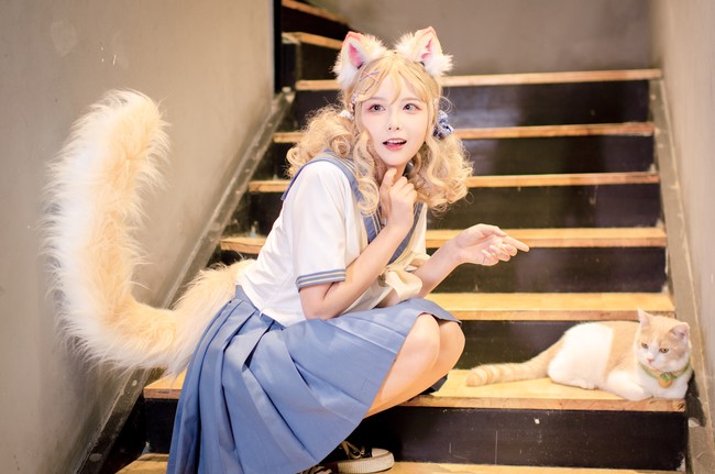 是你喜欢的猫猫嘛！