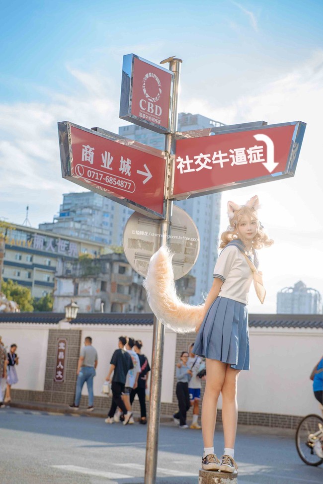 是你喜欢的猫猫嘛！