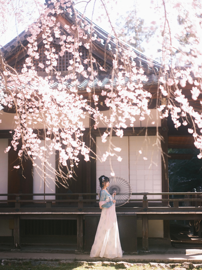 拍了汉服与樱花~