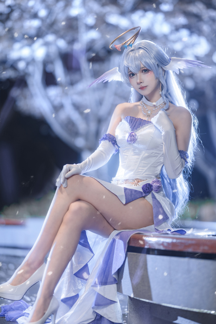美丽的夜樱和小鸟