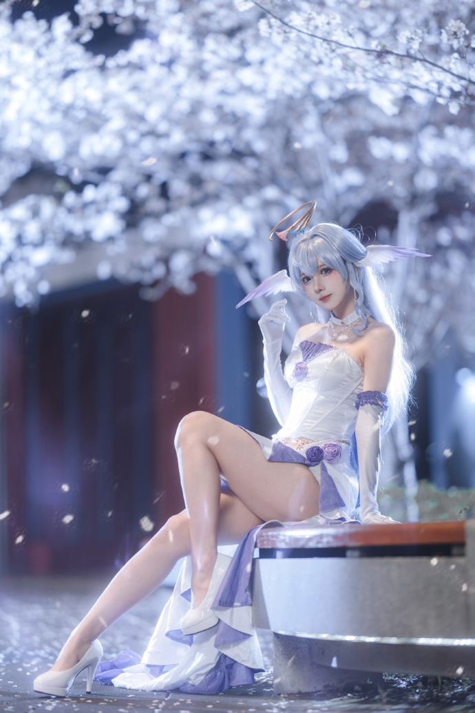 美丽的夜樱和小鸟