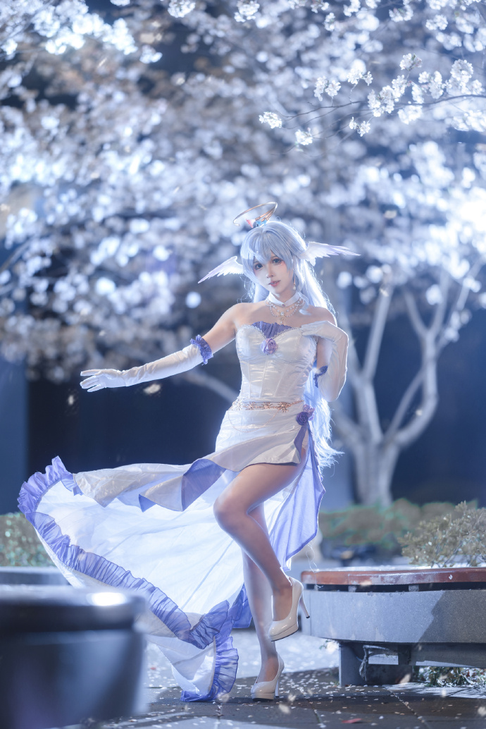 美丽的夜樱和小鸟