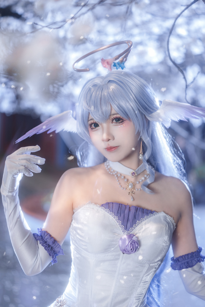 美丽的夜樱和小鸟