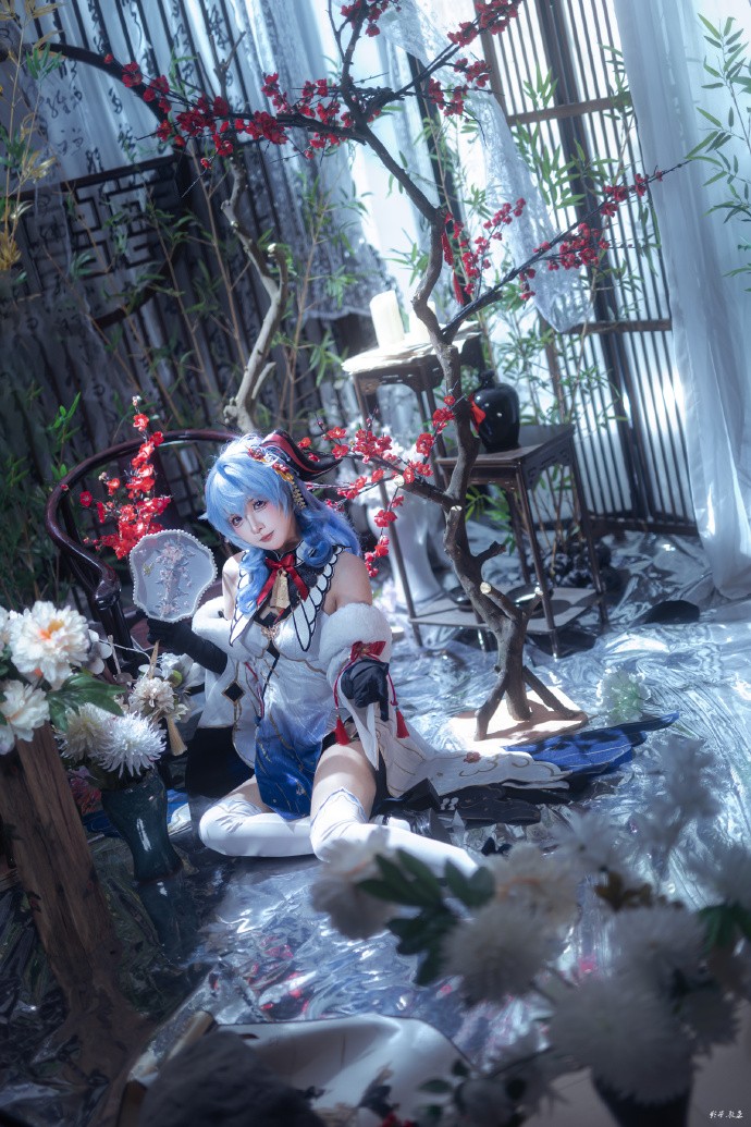 雪中红梅