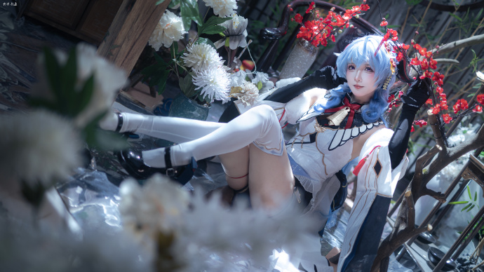 雪中红梅