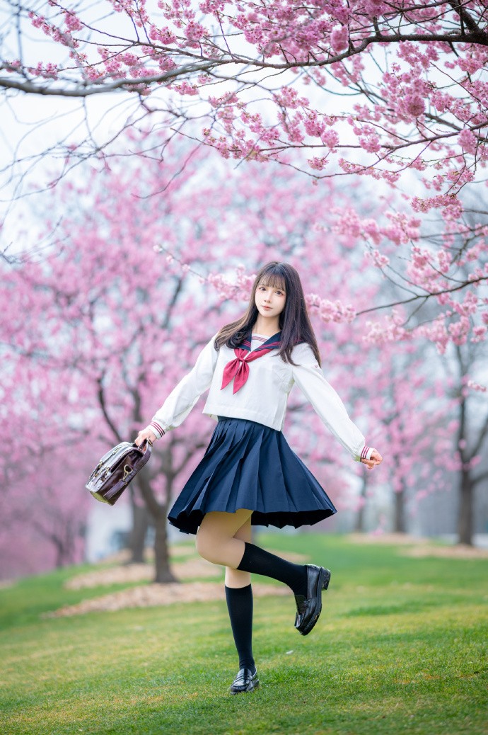 樱之花