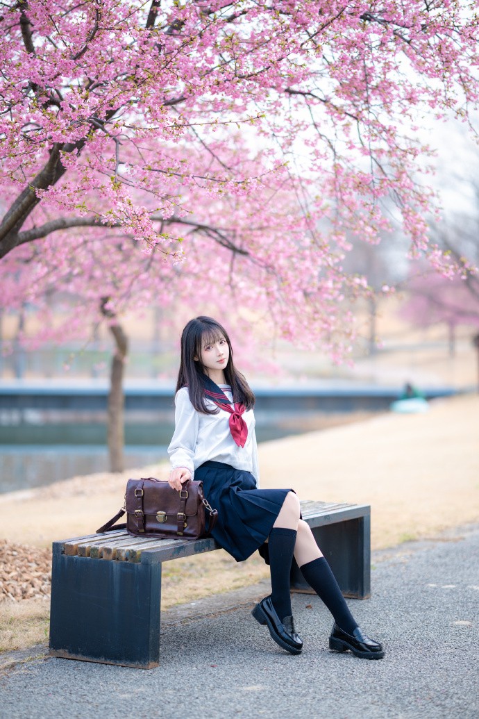 樱之花