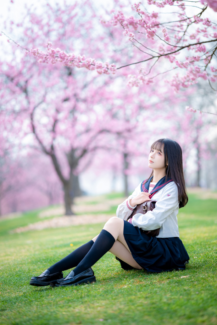 樱之花