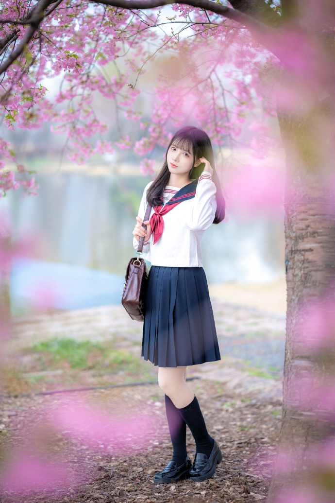 樱之花