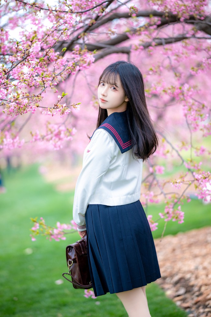 樱之花