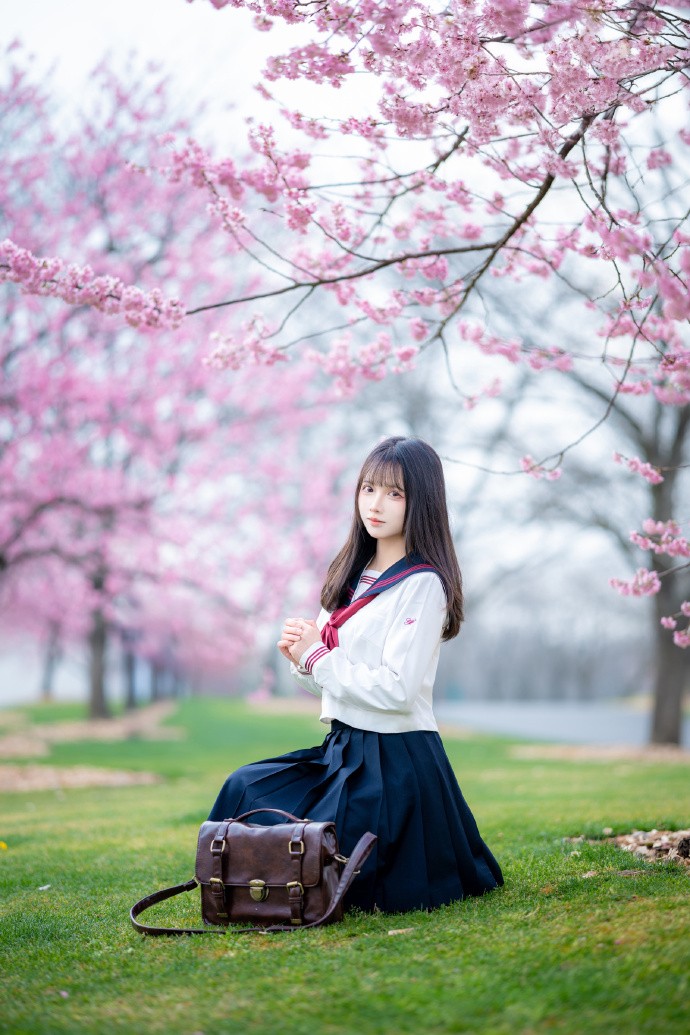 樱之花