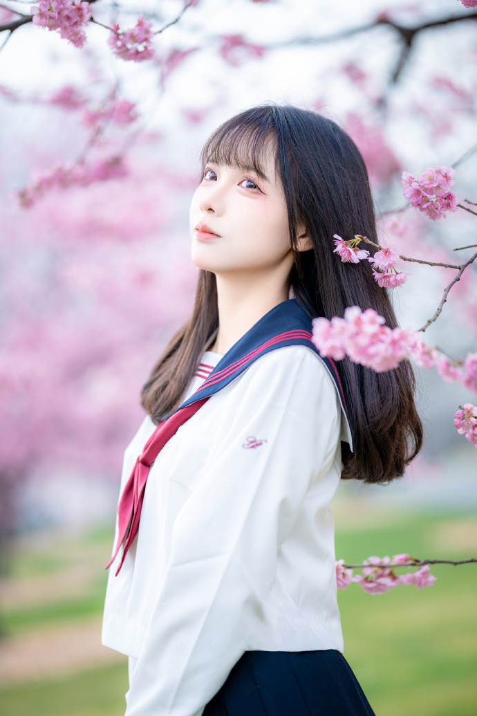 樱之花