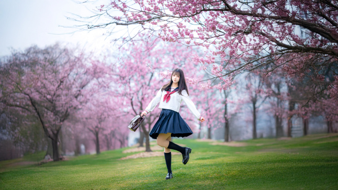 樱之花